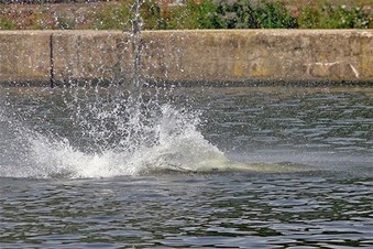 Enlarge photo 373