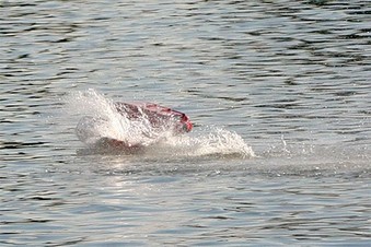 Enlarge photo 397