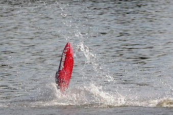 Enlarge photo 398