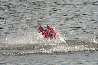 Enlarge photo 399