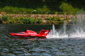 Enlarge photo 176