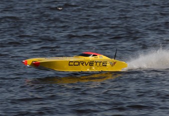 Enlarge photo 232