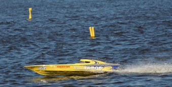 Enlarge photo 251