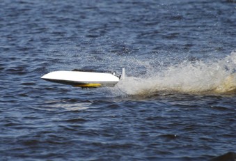Enlarge photo 275