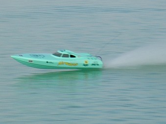 Enlarge photo 562