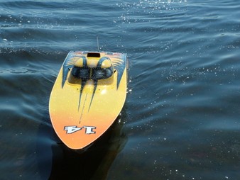 Enlarge photo 75