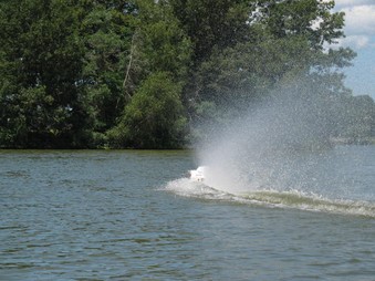Enlarge photo 70