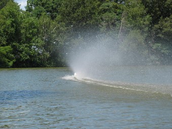 Enlarge photo 76
