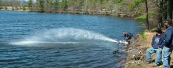 Enlarge photo 57