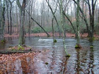 Enlarge photo 58