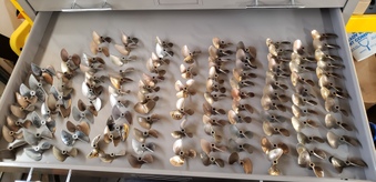 Enlarge photo 19