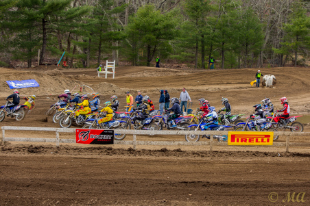Enlarge photo 55
