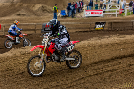 Enlarge photo 152