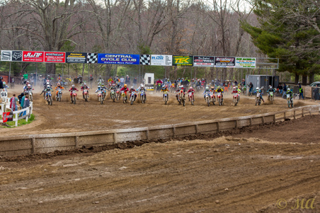 Enlarge photo 177