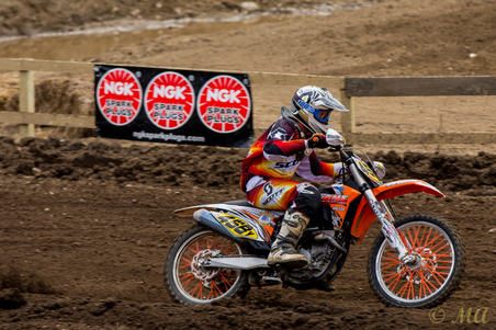Enlarge photo 61