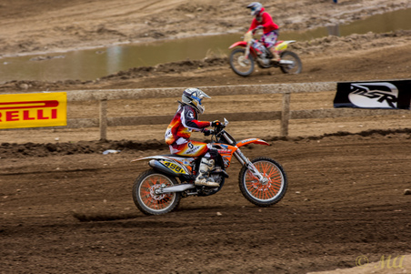 Enlarge photo 65