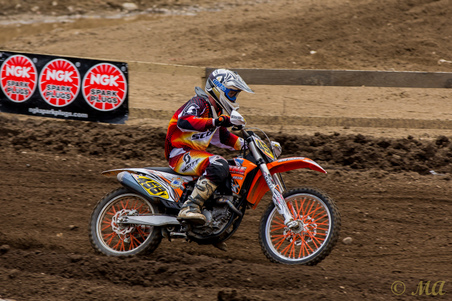 Enlarge photo 76