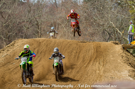 Enlarge photo 65