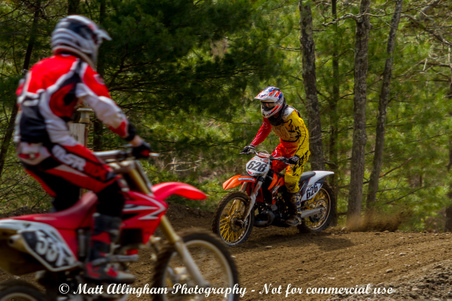 Enlarge photo 81