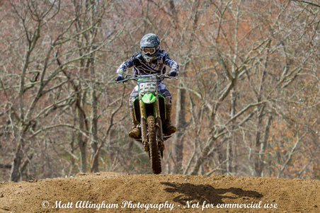Enlarge photo 93