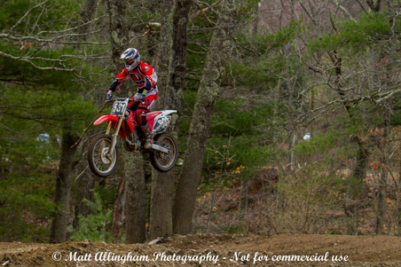 Enlarge photo 145