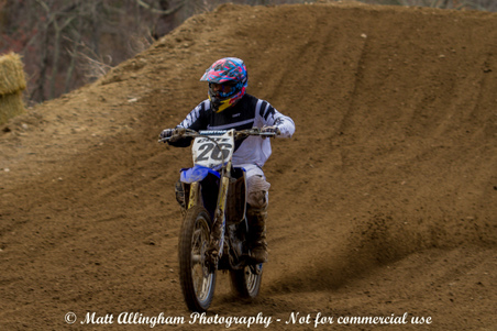 Enlarge photo 172