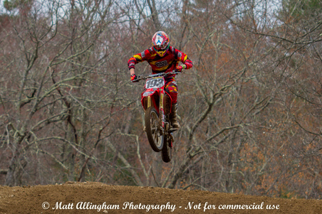 Enlarge photo 173