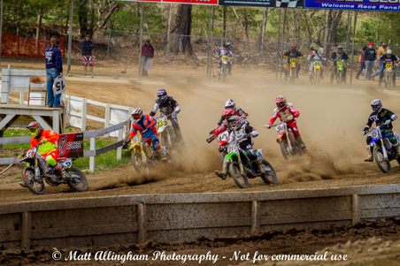 Enlarge photo 184