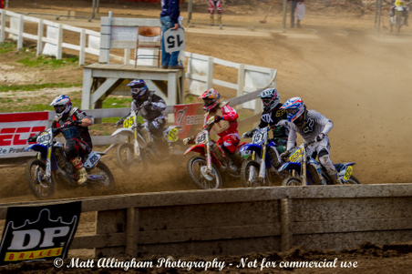 Enlarge photo 185
