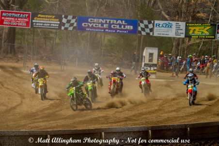 Enlarge photo 187