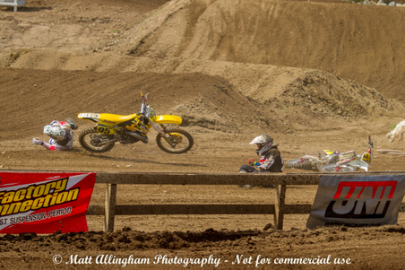 Enlarge photo 195