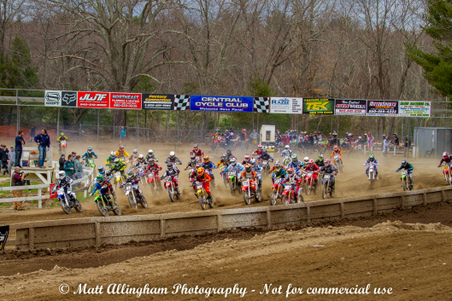 Enlarge photo 217