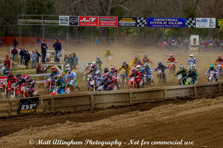 Enlarge photo 219