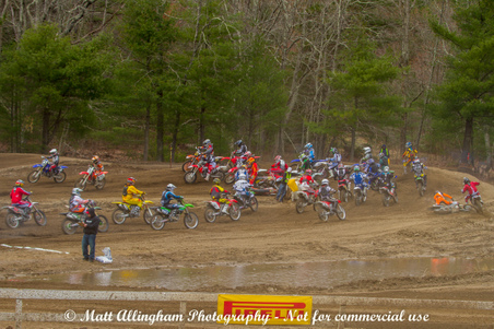 Enlarge photo 223