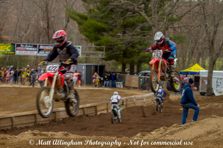 Enlarge photo 259