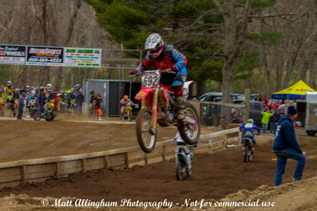 Enlarge photo 260