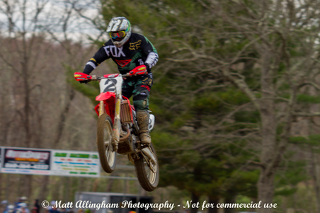 Enlarge photo 272