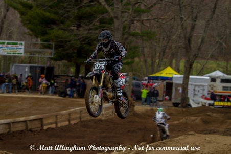 Enlarge photo 273