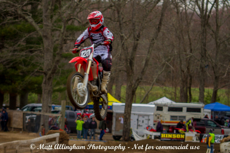 Enlarge photo 275
