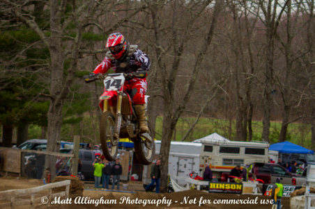 Enlarge photo 276