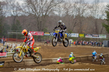 Enlarge photo 292