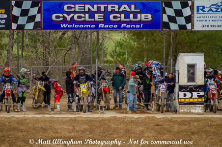 Enlarge photo 319