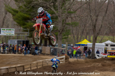 Enlarge photo 323