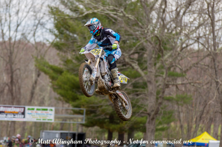 Enlarge photo 333