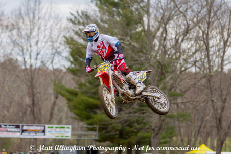 Enlarge photo 338