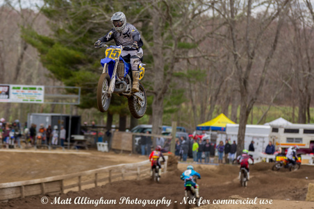 Enlarge photo 341