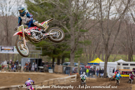 Enlarge photo 343