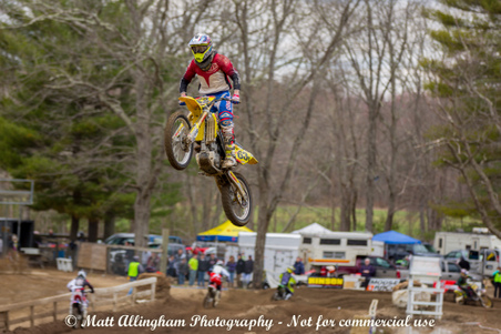 Enlarge photo 354