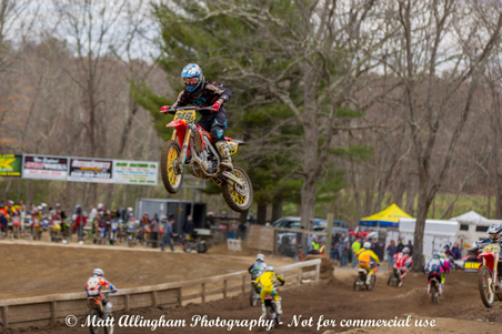 Enlarge photo 359