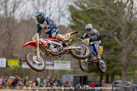 Enlarge photo 391